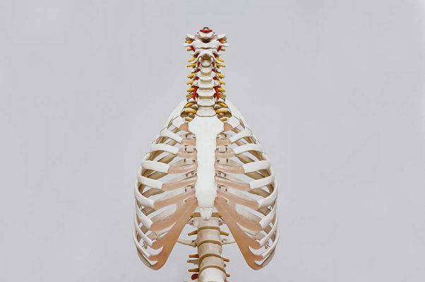 cura delle funzioni del sistema respiratorio tramite osteopatia